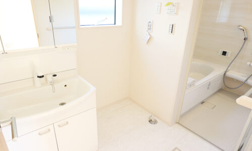 同形状・同仕様写真です。 洗面台はシャワー付き。