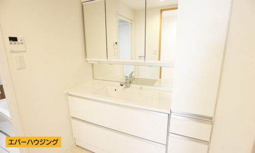 3面鏡の独立洗面台。タオルなども収納できる棚も付いています。