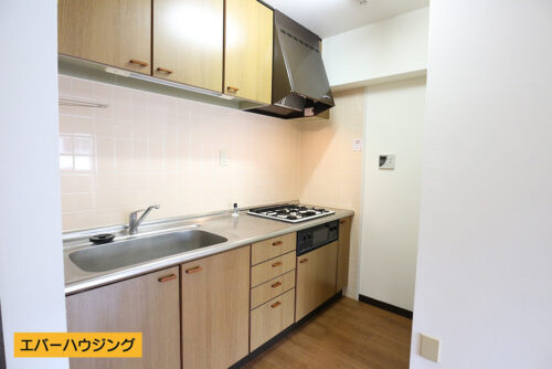 使いやすいシステムキッチンです。キッチン後ろには冷蔵庫スペースも確保♪