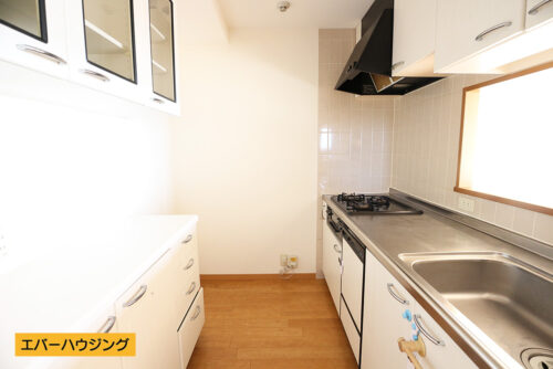 対面式のシステムキッチンです♪