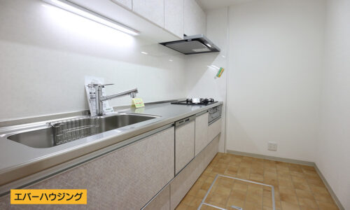 キッチンは新調済み。収納スペースも豊富で使いやすいシステムキッチンです。