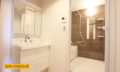 シャワー付きの洗面化粧台。女性に嬉しい３面鏡です。