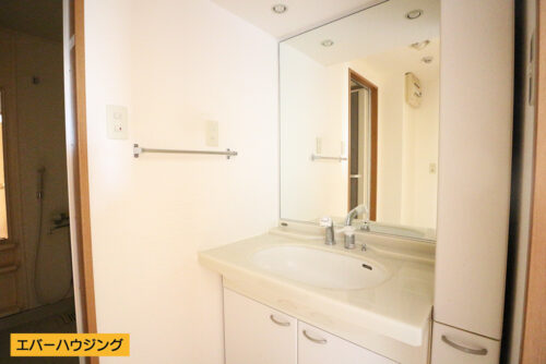 洗面台は忙しい朝に嬉しいシャワー付きです。