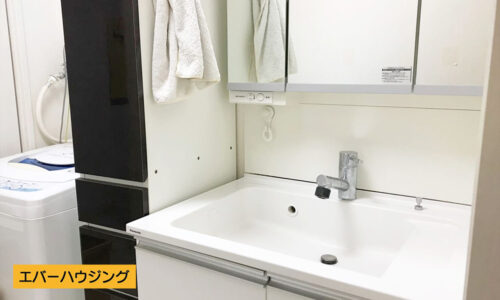 女性に嬉しい3面鏡のシャワー付き独立洗面台です。