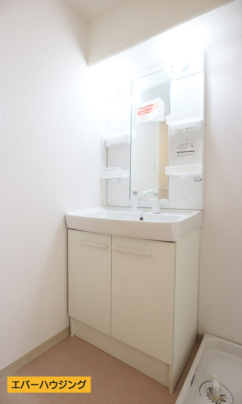 忙しい朝に嬉しいシャワー付きの独立洗面台。