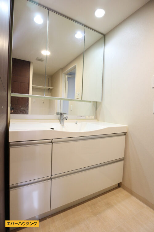 収納たっぷりの洗面化粧台です。