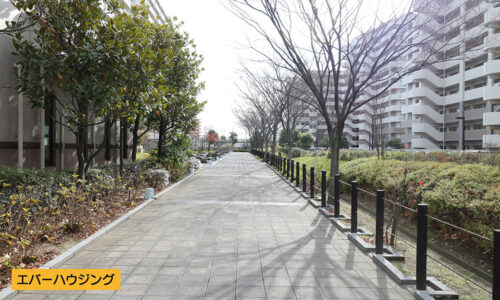 建物前の通路です。