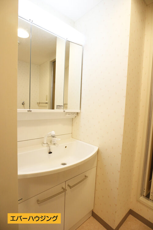 女性に嬉しい3面鏡の洗面台です。シャワー付きで便利です。